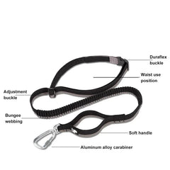Hands-Free Bungee Dog Leash with Adjustable Waist Belt by Snagg A Leash