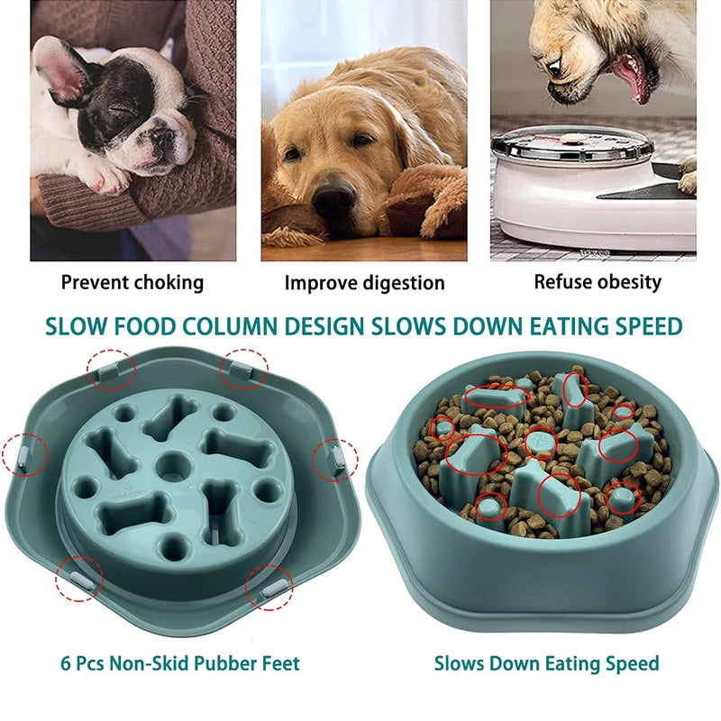 Slow Feeder Dog Bowl by Snagg A Feeder