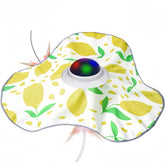 Interactive Rechargeable Cat Toy by Snagg A Toy