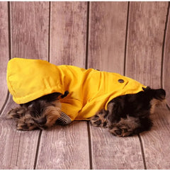 Outdoor Waterproof Dog Jacket