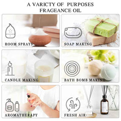 20 Bottle Master Essential Oil Collection – 100% Pure Aromatherapy Library for Diffusion, DIY Wellness & Botanical Crafting