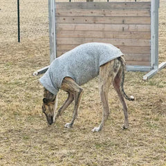 Warm Fleece Sleeveless Dog Vest
