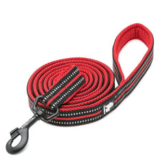 Soft Padded Reflective Dog Leash by Snagg A Leash