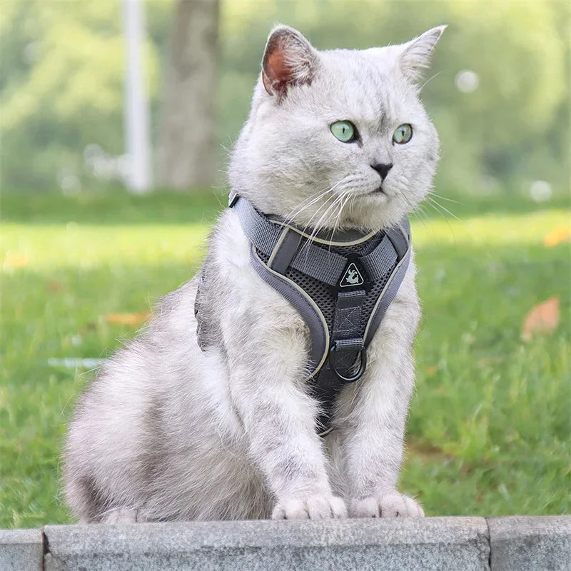 Reflective Cat & Dog Harness & Leash Set by Snagg A Harness