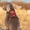 Orange Tactical Dog Collar & Leash Set by Snagg A Harness