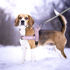 Floral Dog Harness – No Pull, Reflective & Warm by Snagg A Harness