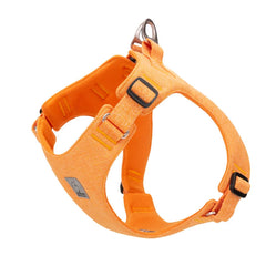 Eco-Friendly Recycled Pet Harness by Snagg A Harness