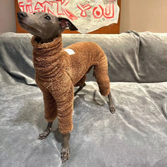 Winter Double Fleece High Collar Dog Coat