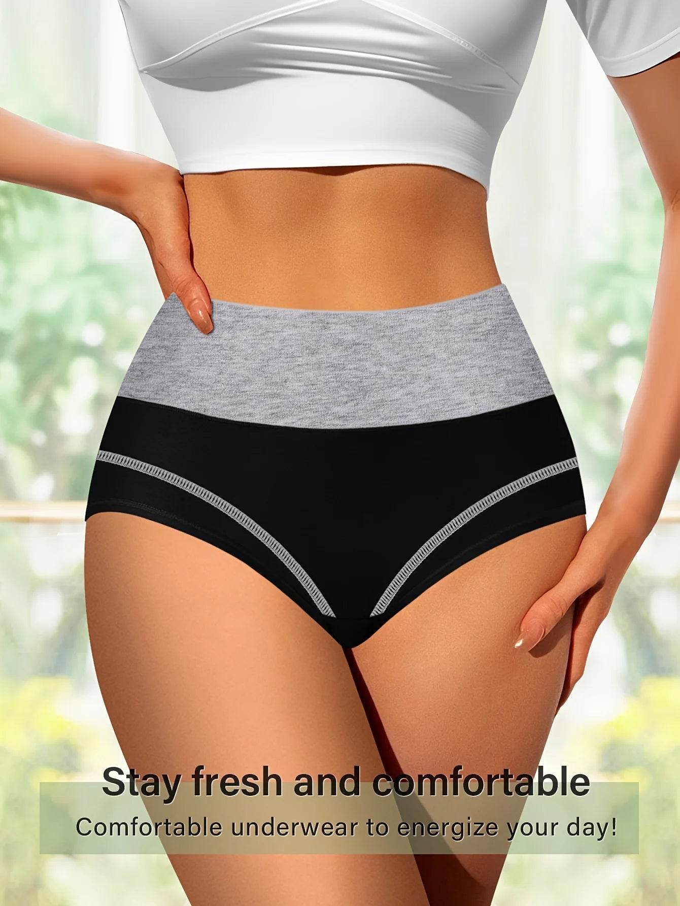 4-Pack Women’s High-Waist Tummy Control Briefs - SnaggIt