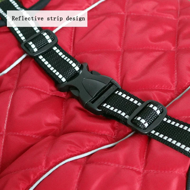 Waterproof Outdoor Dog Jacket by Snagg A Jacket