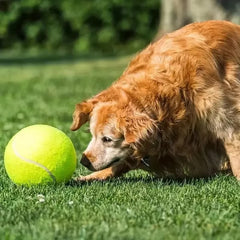 Giant Inflatable Tennis Ball for Dogs by Snagg A Toy