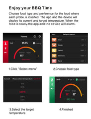 Wireless Bluetooth Meat Thermometer by Snagg A Thermometer