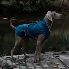 Waterproof Puppy Dog Raincoat by Snagg A Raincoat