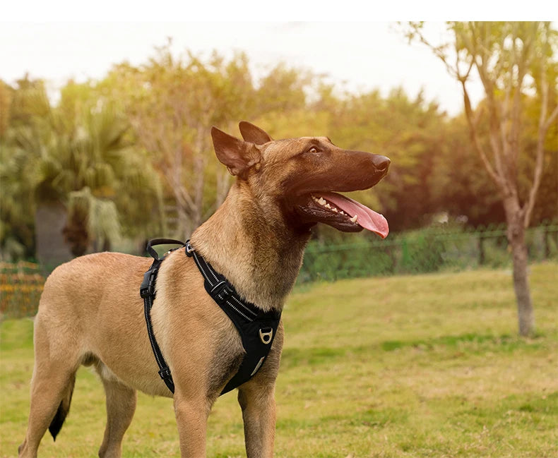 Tactical Black Dog Harness by Snagg A Harness