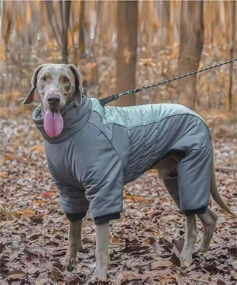 Waterproof Cotton Winter Dog Jumpsuit by Snagg A Jumpsuit