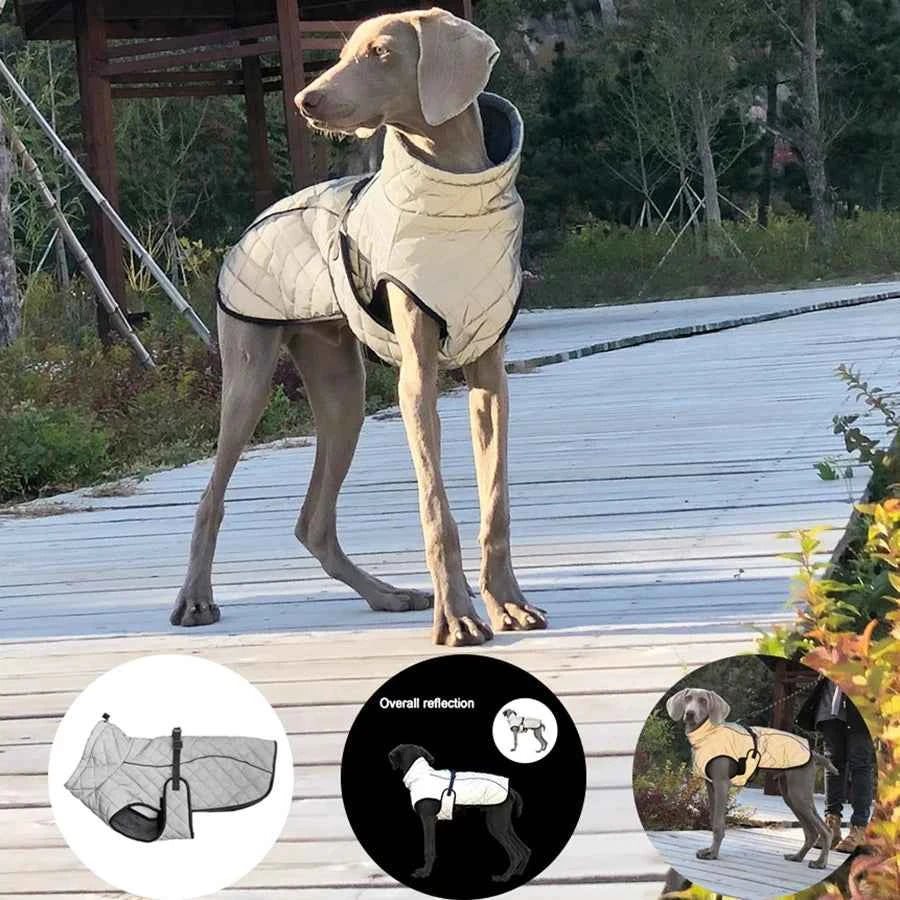 Reflective Outdoor Dog Jacket – Warm Cotton Vest Coat for Large & Medium Dogs (Labrador)