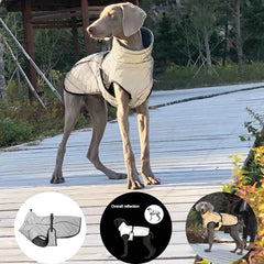 Reflective Outdoor Dog Jacket – Warm Cotton Vest Coat for Large & Medium Dogs (Labrador)