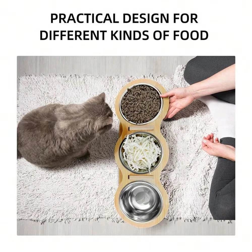 3 Elevated Tilted Cat Bowls - SnaggIt