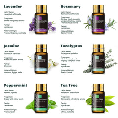 35 Bottle Master Essential Oil Library – 100% Pure Botanical Collection for Diffusion, Artisanal Crafting & Wellness