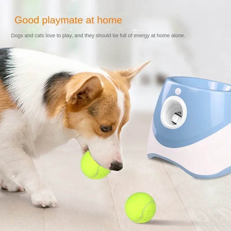 Automatic Dog Tennis Ball Launcher - SnaggIt