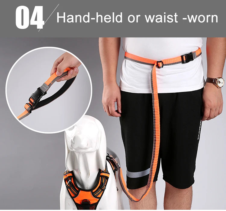 Hands-Free Bungee Dog Leash with Adjustable Waist Belt by Snagg A Leash