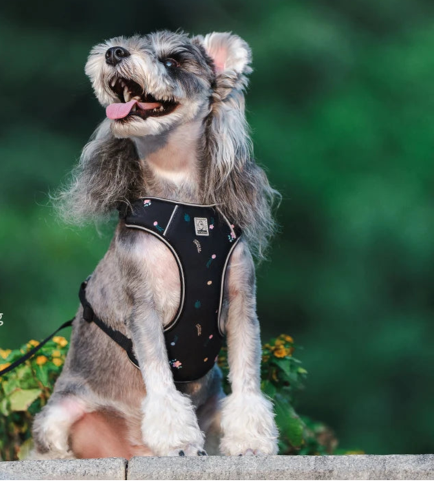 Ultra-Lightweight Breathable Harness & Leash Set by Snagg A Harness