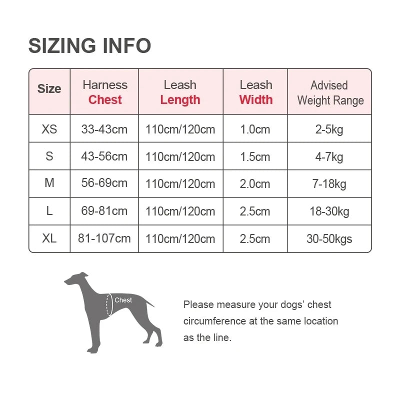 No-Pull Reflective Dog Harness & Leash Set by Snagg A Harness