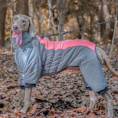 Waterproof Cotton Winter Dog Jumpsuit by Snagg A Jumpsuit
