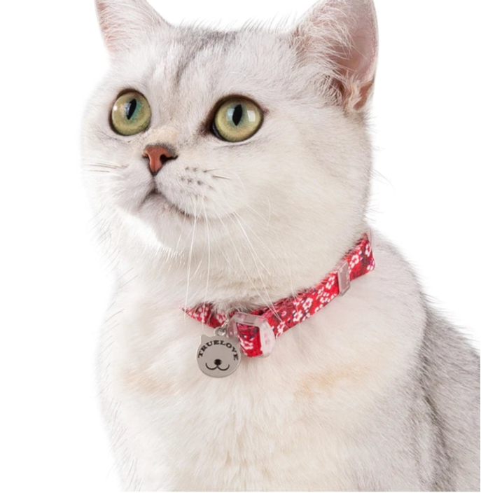 Floral Pet Collar with Bell – Adjustable, Safe & Stylish by Snagg A Pet Collars