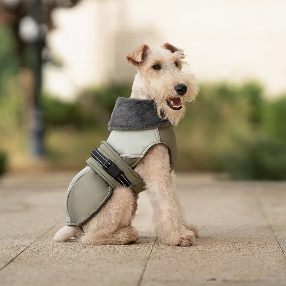 Fur-Collar Dog Vest Jacket – Thick Padded Reflective Winter Coat for Small & Medium Dogs