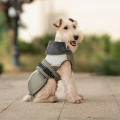 Fur-Collar Dog Vest Jacket – Thick Padded Reflective Winter Coat for Small & Medium Dogs