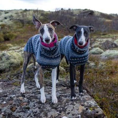 Winter Fleece Turtleneck Whippet Vest Soft Stretch Dog