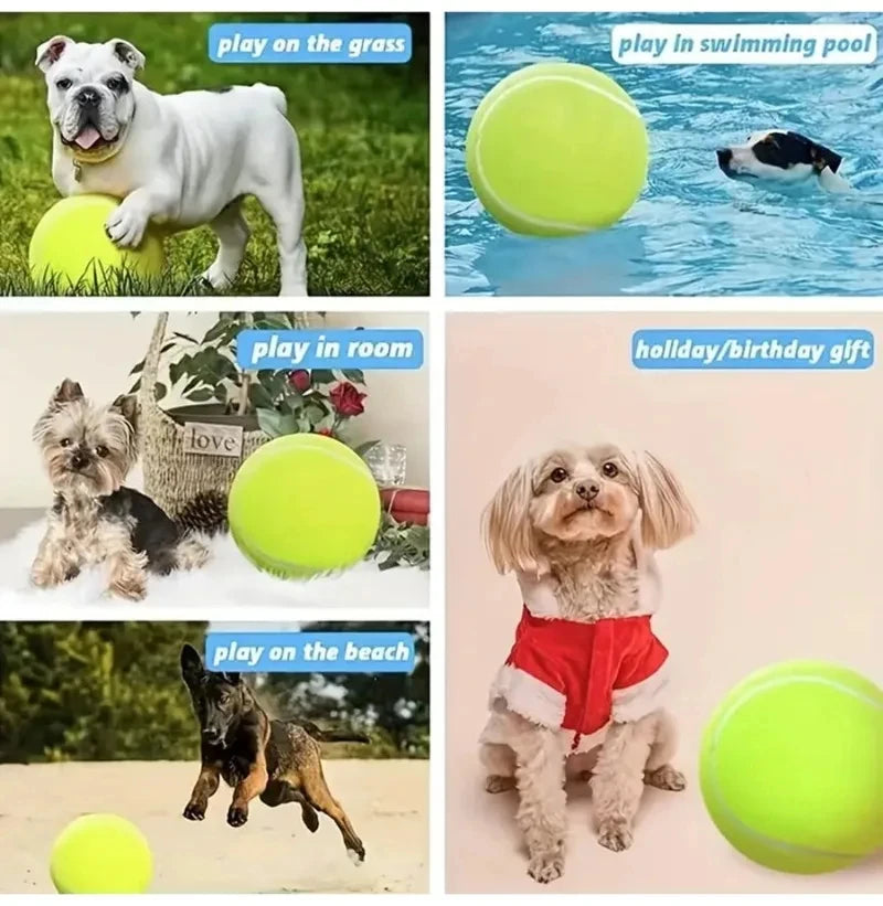 Giant Inflatable Tennis Ball for Dogs by Snagg A Toy