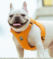 Eco-Friendly Recycled Pet Harness by Snagg A Harness