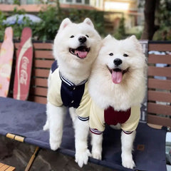 Warm Big Dog Baseball Jacket