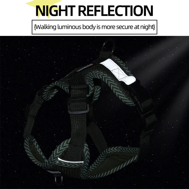 Reflective Cat & Dog Harness & Leash Set by Snagg A Harness
