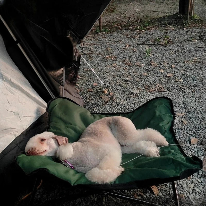 Outdoor Camping Foldable Pet Bed by Snagg A Pet Lounge