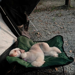 Outdoor Camping Foldable Pet Bed by Snagg A Pet Lounge