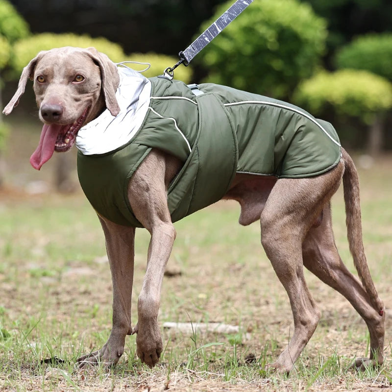 Winter Waterproof Dog Jacket by Snagg A Jacket