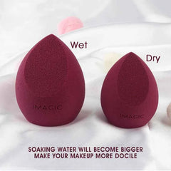 Professional 10 Pieces Blending Set – High-Definition Non-Latex Beauty Sponges