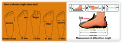 Men's low-cut trail shoe – image 5