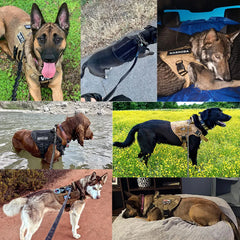 Tactical Large Dog Harness & Leash with MOLLE Pouches – Training Vest for Golden Retriever & French Bulldog