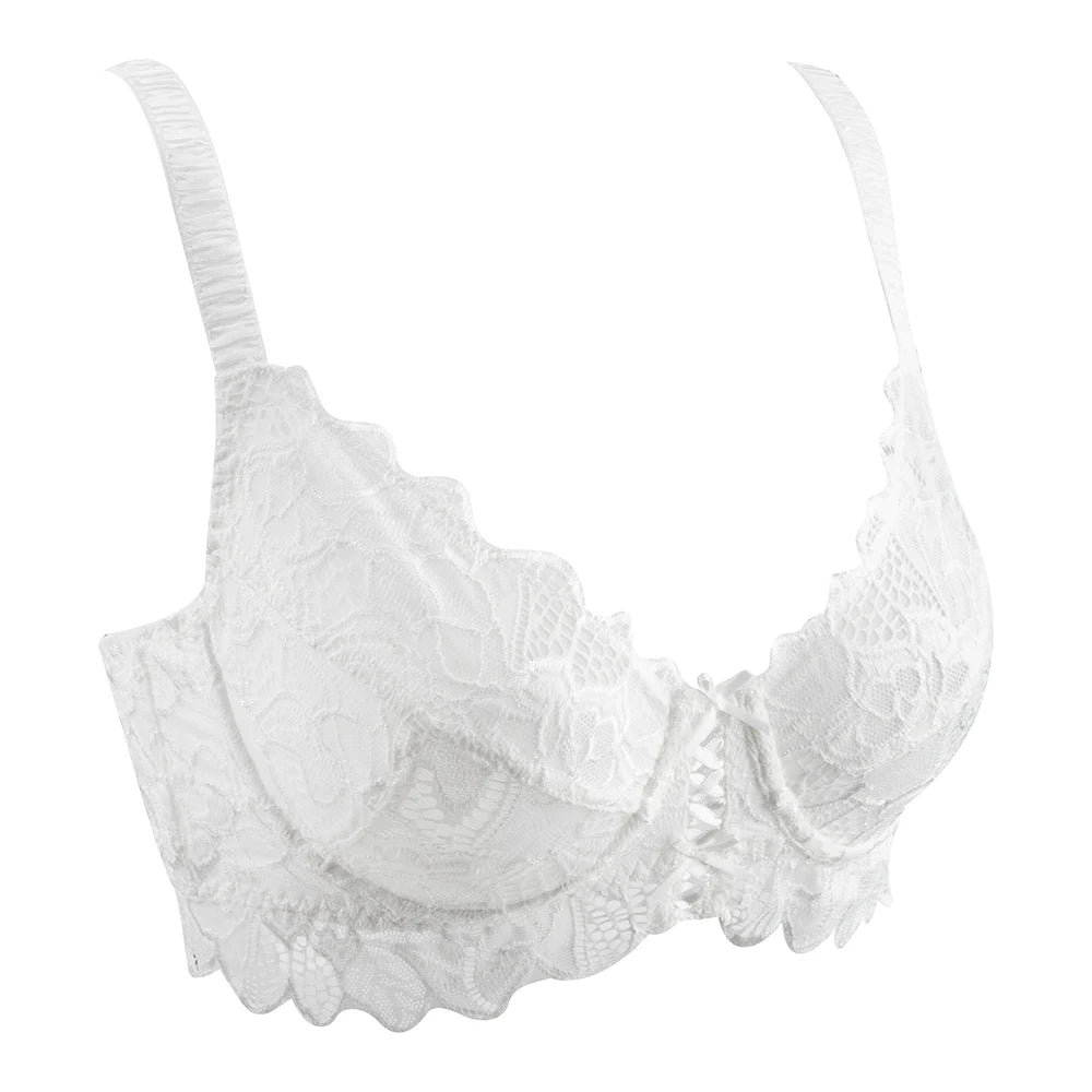 Plus Size Lace Mesh Bra | Underwire Push Up Full Coverage Unpadded