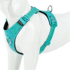Lightweight Adjustable Dog Harness by Snagg A Harness