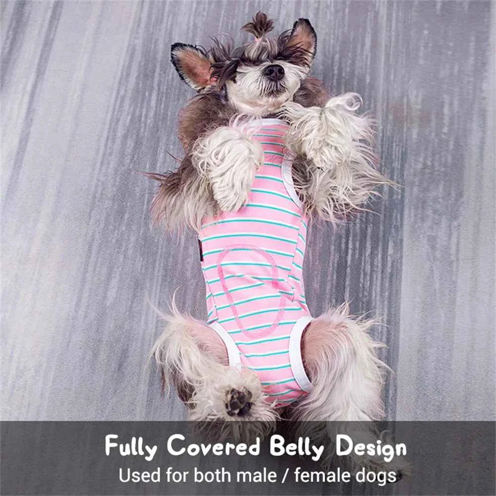 Dog Recovery Suit – Post-Surgery Anti-Licking Bodysuit with Sanitary Panel for Male & Female Dogs