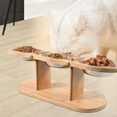 3 Elevated Tilted Cat Bowls - SnaggIt