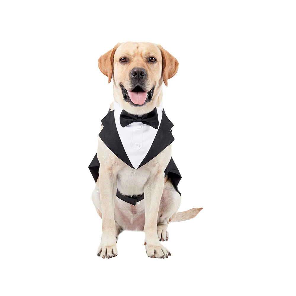 Pet Formal Suit Tuxedo by Snagg A Tuxedo