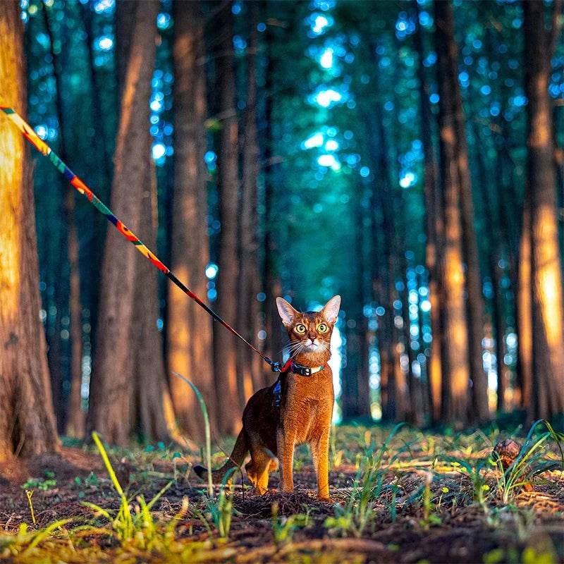 Adjustable Cat Harness and Leash Set - SnaggIt