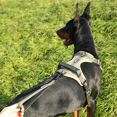 Adjustable Reflective Dog Harness by Snagg A Harness