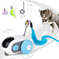 Smart Cat Toy Car by Snagg A Toy